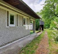 A cottage in Necpaly surrounded by greenery, stone path, large windows, forest vegetation.
