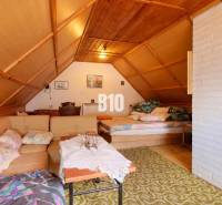 The attic of the cottage with a sofa, fireplace, and bed. A peaceful atmosphere for relaxation.