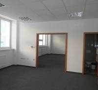 Office interior with carpeted floor, large windows, and access to a bathroom.