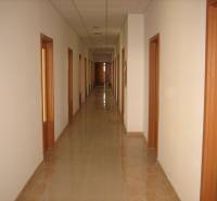 A long hallway in an office with tiled flooring and a row of doors on both sides.