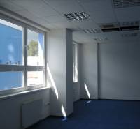 Spacious offices with blue carpet and large windows.
