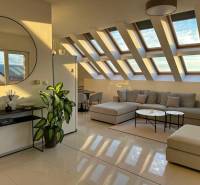 Living room in a 3-room apartment with large skylights and houseplants.