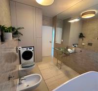 Bathroom in a 3-room apartment with a washing machine, bidet, and decorative plants. Defective mirror.