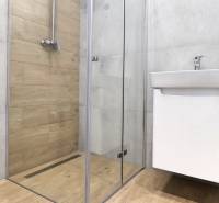 A bathroom in a family house with a wooden decor floor and a shower corner.