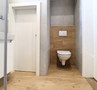 A bathroom in a family house with a toilet and a wooden decor floor.