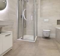 Bathroom in a 4-room apartment with a toilet, shower, and bathtub, complemented by a mirror.