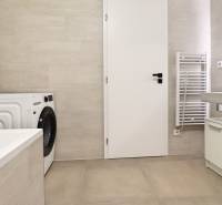 A bathroom with a shower, washing machine, and sink in a 4-room apartment.