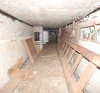 Underground space of the cottage with tools and barrels in Radvaň nad Dunajom.