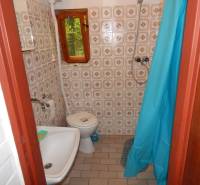 Bathroom in a cabin with classic tiles, toilet, and a blue shower curtain.