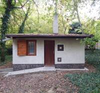 A cottage in Radvani nad Dunajom surrounded by forest and greenery.