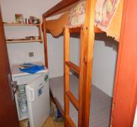 Bunk bed and small refrigerator in a room of a cabin with shelves.
