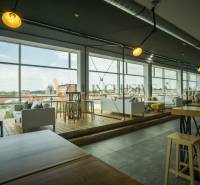 The gastro space is a room with large windows and a floor with a wooden decor.