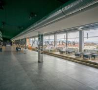 Spacious gastro spaces with glazing and wooden decor flooring offer a view of the city.