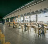 Interior of gastro spaces with high tables and large windows.