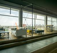 Gastro premises with large windows, wooden decor flooring, and comfortable seating.