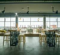 Interior of gastro spaces with high tables and large windows, floor with wood decor.
