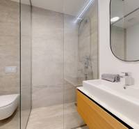 Bathroom with a shower, toilet, and sink in a 4-room apartment with an elegant mirror.