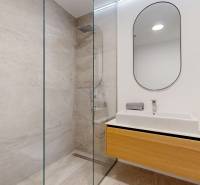 A bathroom in a 4-room apartment with a shower and a mirror above the sink.