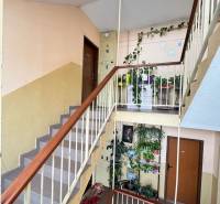 A staircase with plants and doors in a 4-room apartment, light-colored painting.