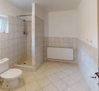 A bathroom in a family house with a toilet, shower, and window. Tiles on the walls and floor.