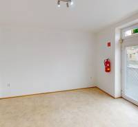 Interior of a family house with a wooden decor floor, a fire extinguisher, and glass doors.