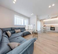 Living room with a large sofa and a kitchenette, floor with wooden decor.