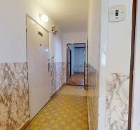 A hallway with doors, a tiled floor, and walls with a marble pattern in a 3-room apartment.