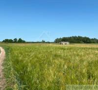 A dirt road and a bunker in the vicinity of Malé Leváre with a forest in the background.