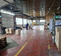 Interior of warehouses and halls with pallets, boxes, and stored materials.