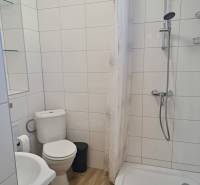 Bathroom in a 3-room apartment with a bathtub, shower, and tiles with a wooden decor.