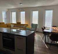 Kitchen and living room in a three-room apartment with wood-patterned flooring.