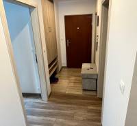 A hallway in a 2-room apartment with a wooden decor floor and a coat rack wall.