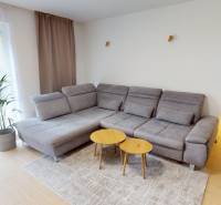 A bright living room in a family house with a comfortable gray sofa and a plant.