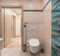 Bathroom in a family house with ceramic tiles and a toilet, light wooden door.
