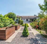 The garden at the family house on Janka Matúška Street in Bánovce nad Bebravou with landscaped ornamental plants.