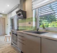A kitchen in a family house with a modern kitchen unit, plants, and green tiles.