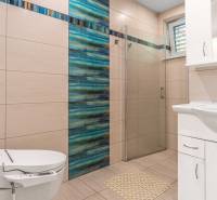 A bathroom in a family house with a toilet, shower, and sink, with blue tiles.