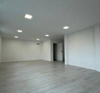 The interior of an office with white walls, wood-patterned flooring, and large windows.