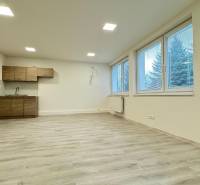 Spacious offices with large windows and a kitchenette, flooring with a wood decor.