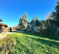 A family house in Horné Saliby with a grassy garden, coniferous trees, and a concrete walkway.