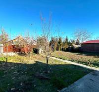 The garden of a family house in Horné Saliby with fruit trees, a fence, and a blue sky.