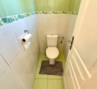 Green and white toilet in a family house with ceramic tiles and a rug.