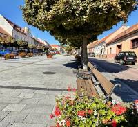 City park in the historic center of Svätý Jur on Prostredná Street with benches and trees.