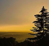 Silhouette of a tree with a view of the landscape at sunset. Trnava, cottage.