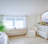 A bright room with wood-patterned flooring, a sofa, plants in a family house.