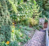 A path in the garden of a family house surrounded by flowers and greenery.