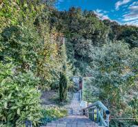 The garden of the cottage in Bratislava - Devín, surrounded by greenery with a stone staircase.