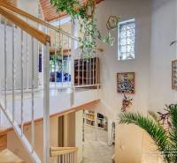 Interior of a cabin with plants, wooden stairs, and decorations on the walls.