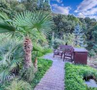 A family house in Bratislava - Devín with a terrace, garden, and palm tree overlooking the forest.