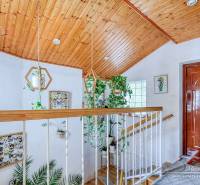 Lobby in a cabin with a wooden ceiling and abundant greenery, floor with wooden decor.